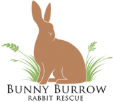 Bunny Burrow Rabbit Rescue